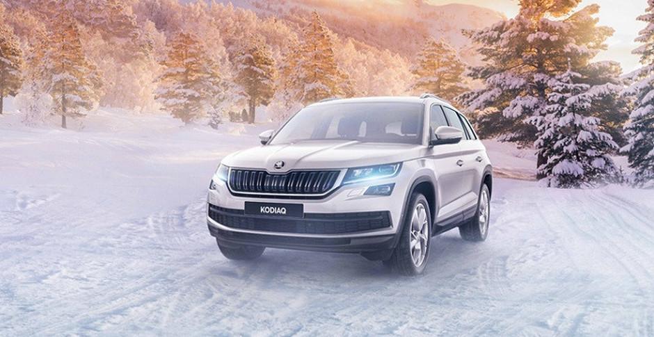 Skoda Superb Winter Forest